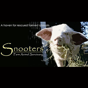 Snooters Farm Animal Sanctuary Charity Donation