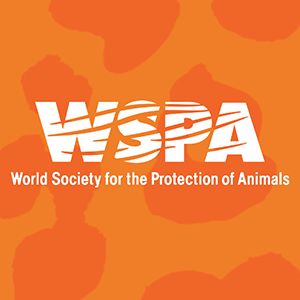World Society for the Protection of Animals Charity Donation