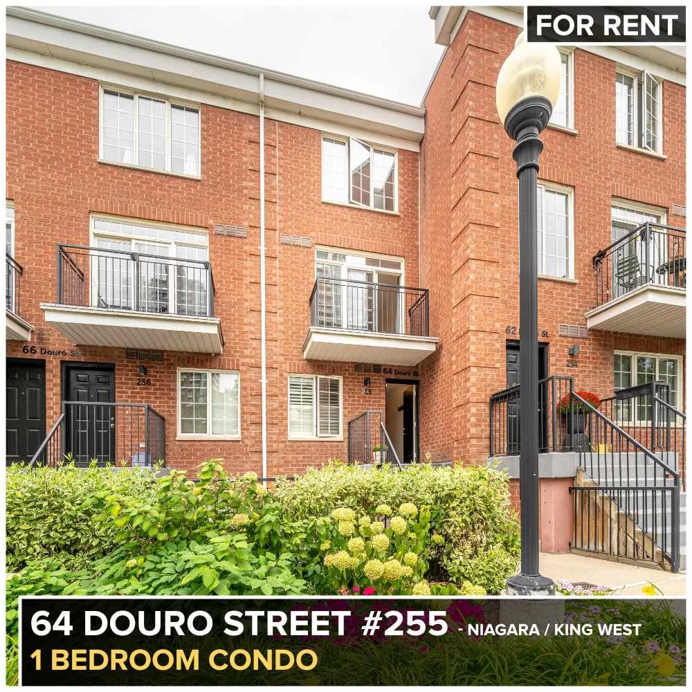 64 Douro St 255 for rent.jpg