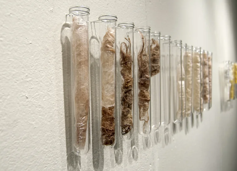 Set 1 materials: human hair, fingernail clippings, plastics, beeswax, polyester stuffing, glass test tubes technique: material manipulation