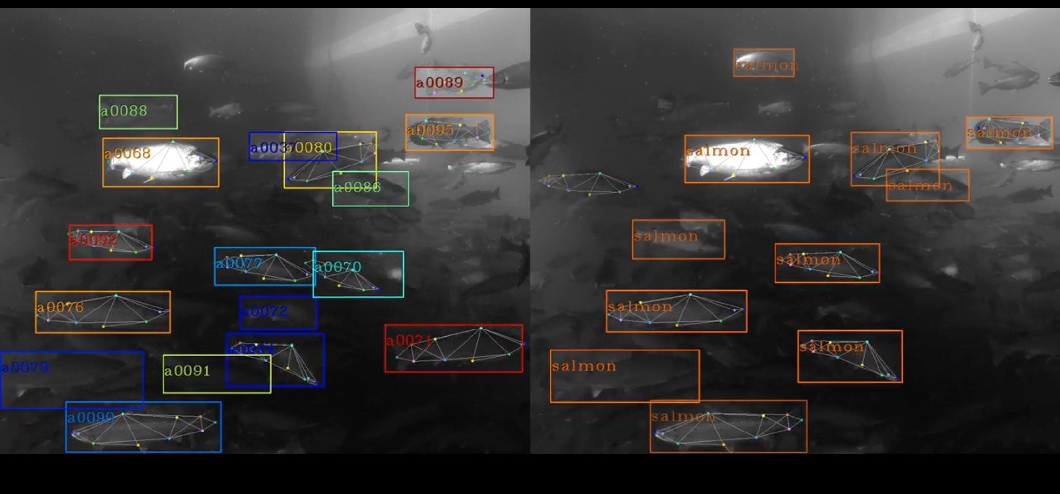 Screenshot 2025-03-06 at 3.46.55 PM.png