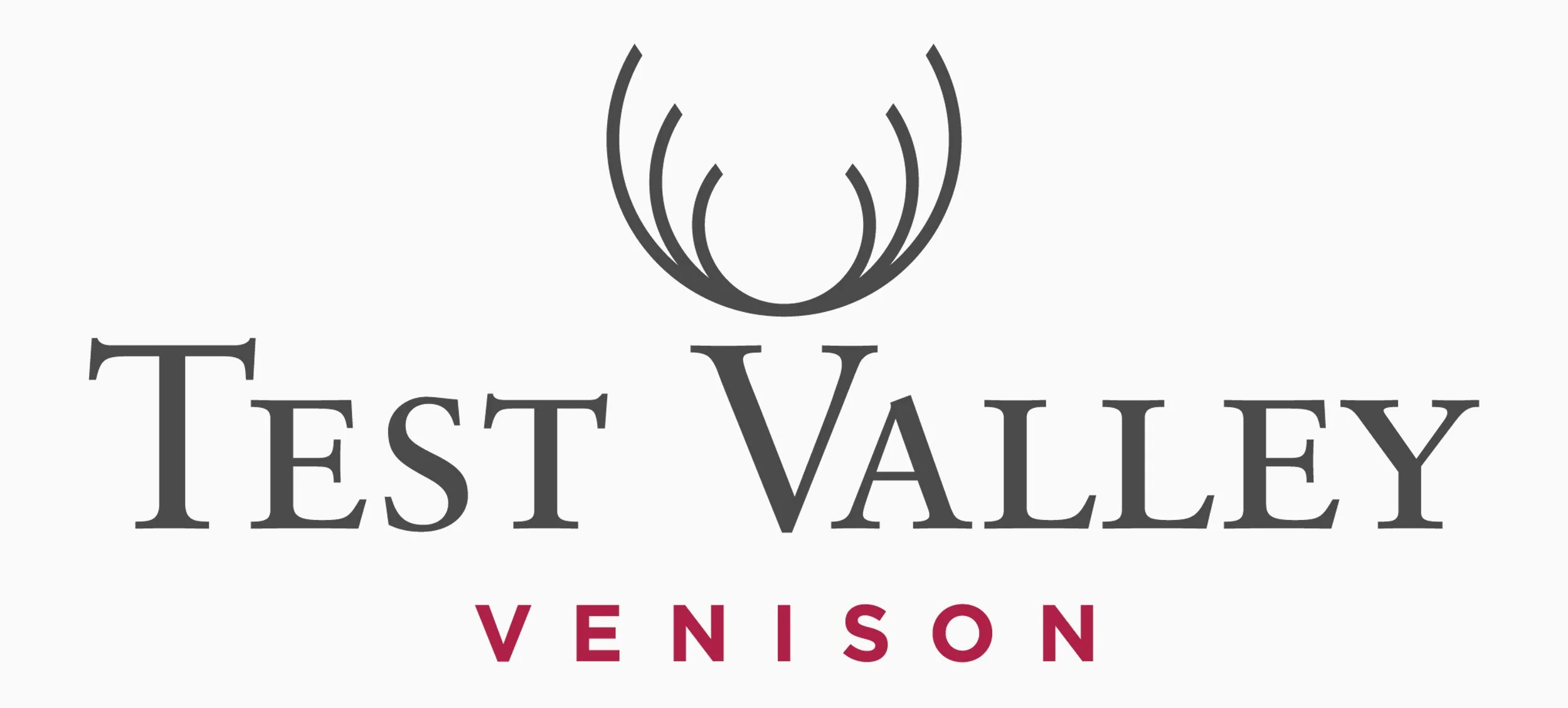 tvv_web1.jpg