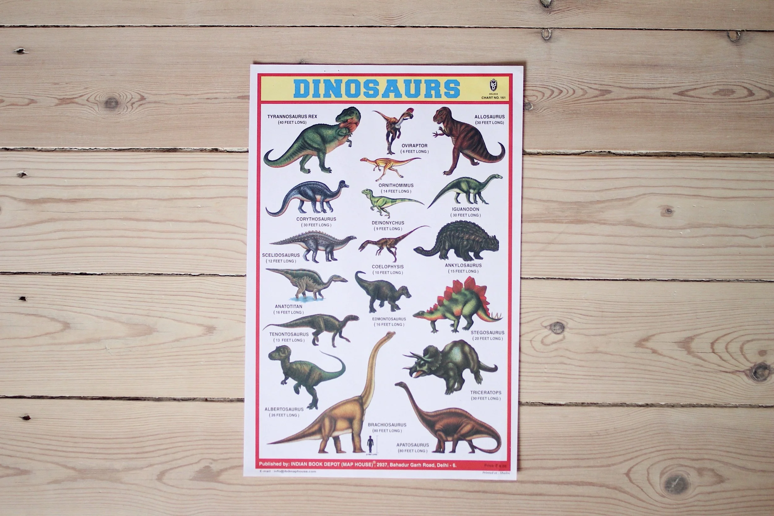 dinosaurs_1.jpg