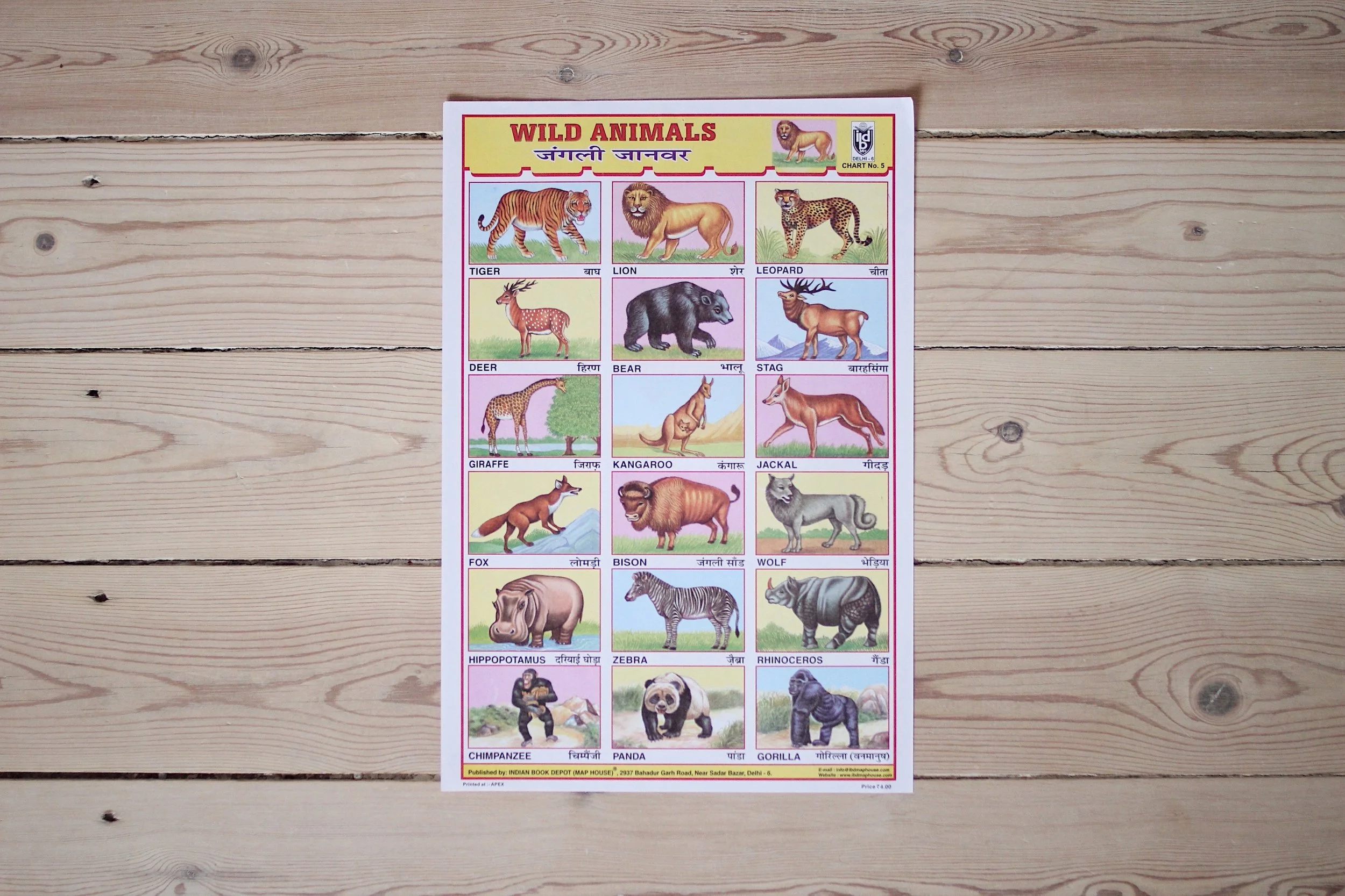 wild_animals_2.jpg