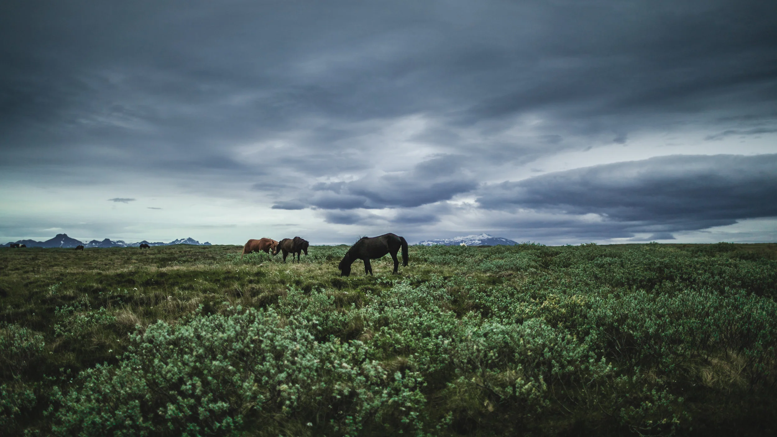 iceland2016edit-8.jpg