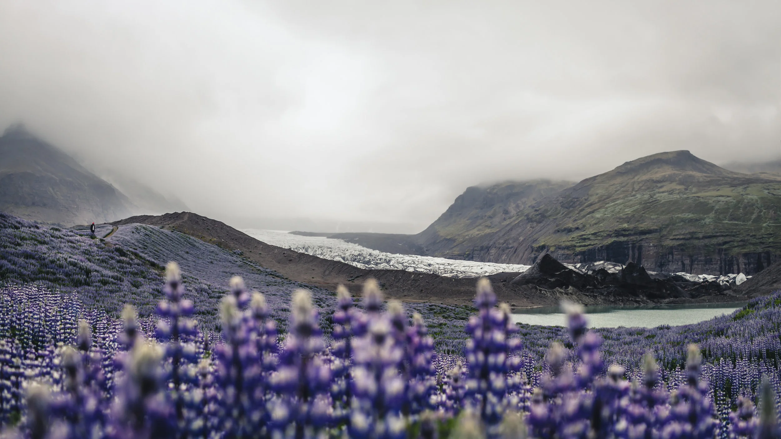 iceland2016edit-38.jpg