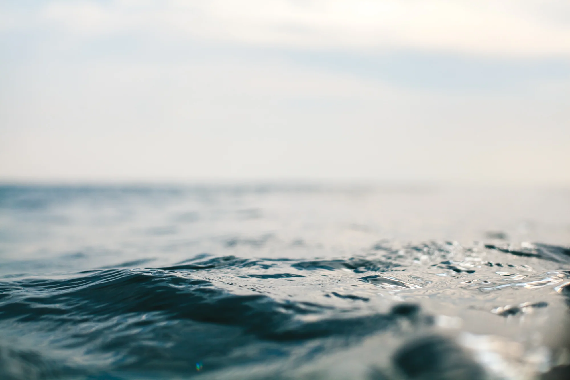 oceanconnection-8.jpg