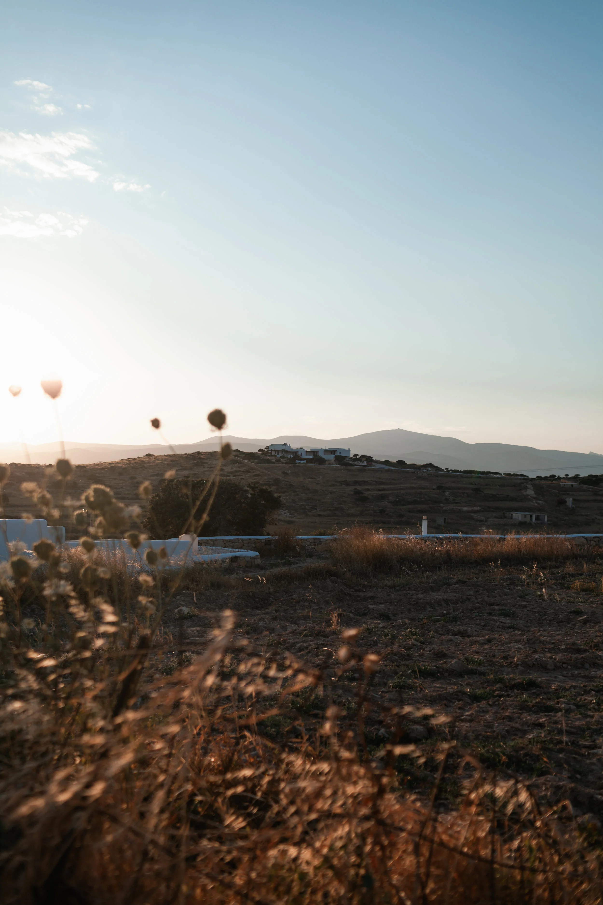 201906_koufonissiedits-8.jpg