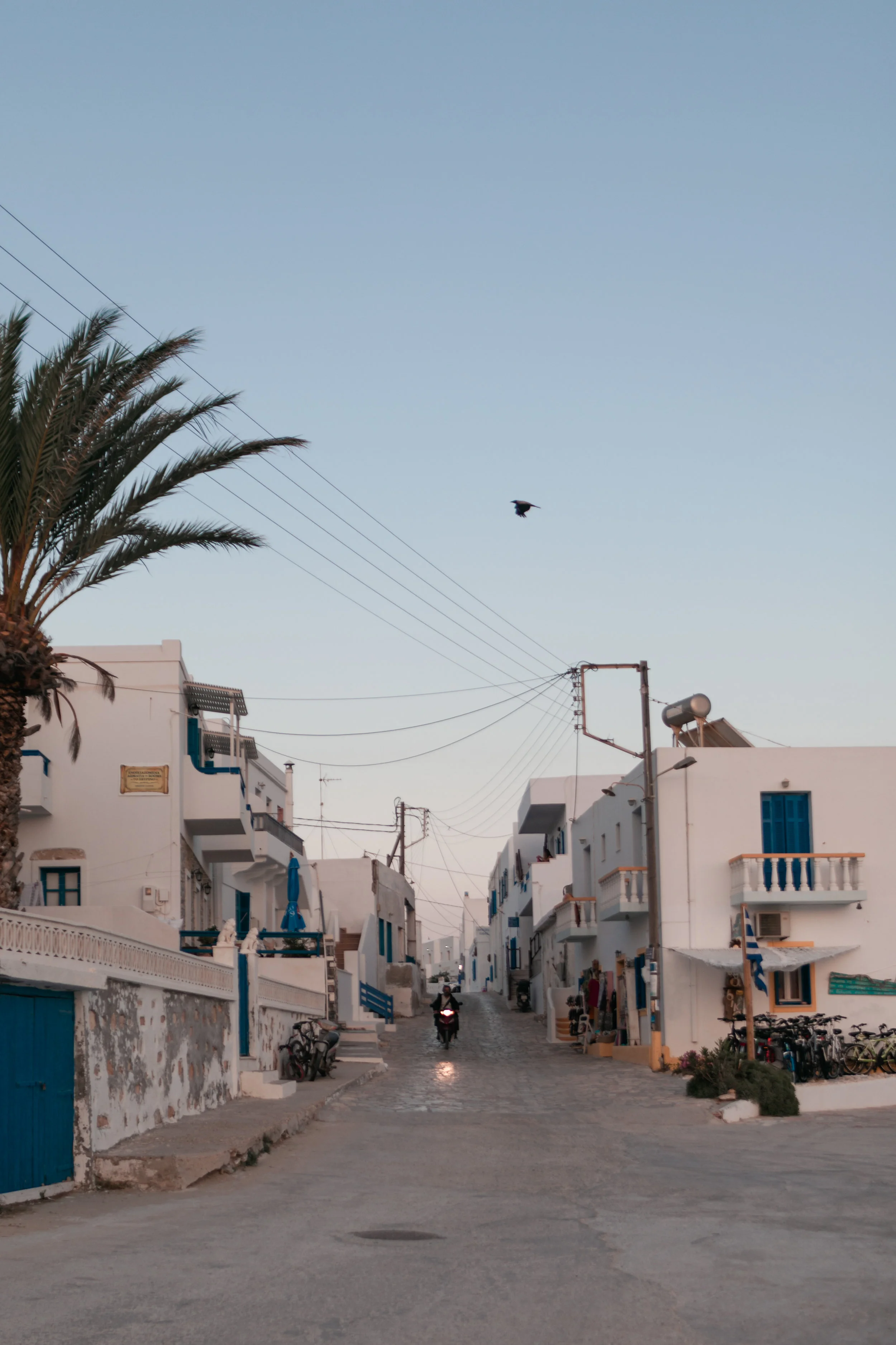 201906_koufonissiedits-14.jpg