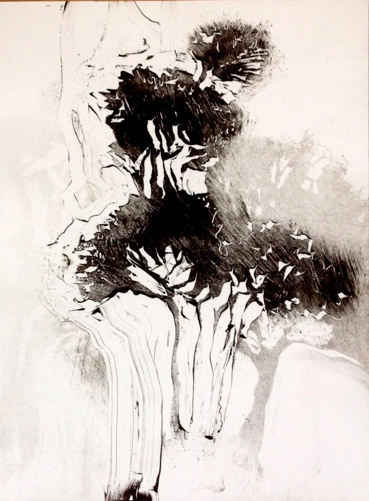 Gorse II