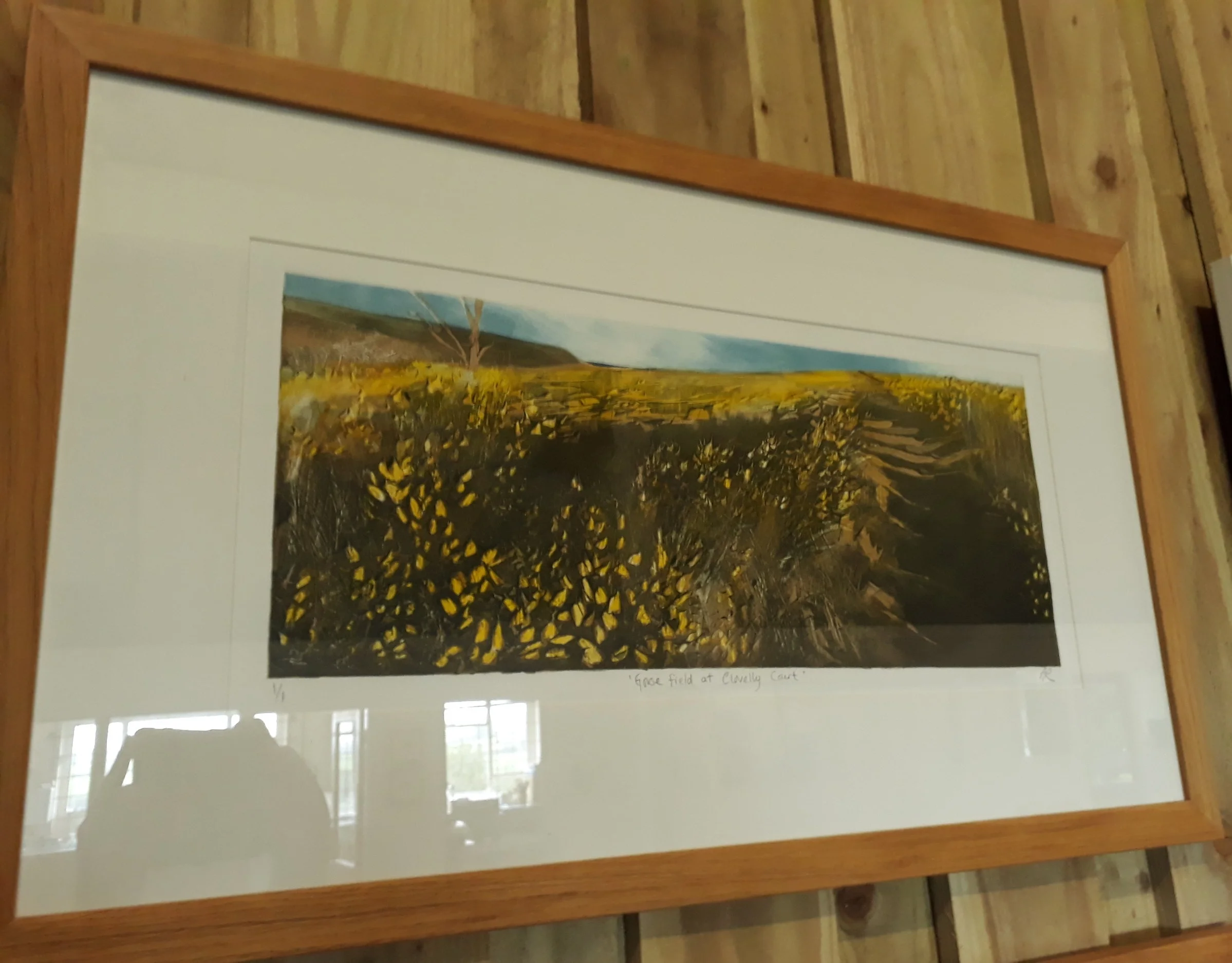 Gorse Field at Clovelly