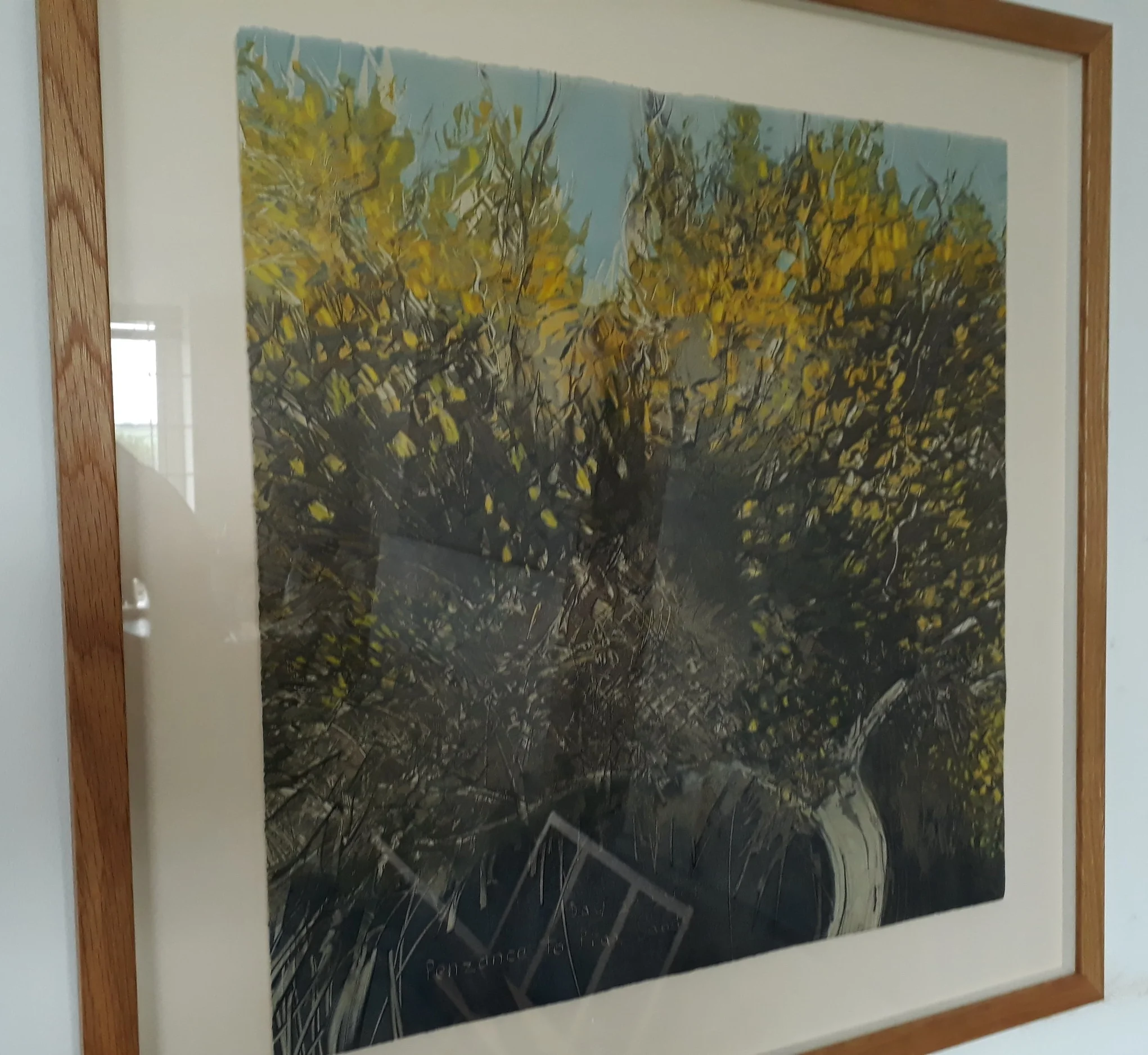 Gorse at Praa Sands
