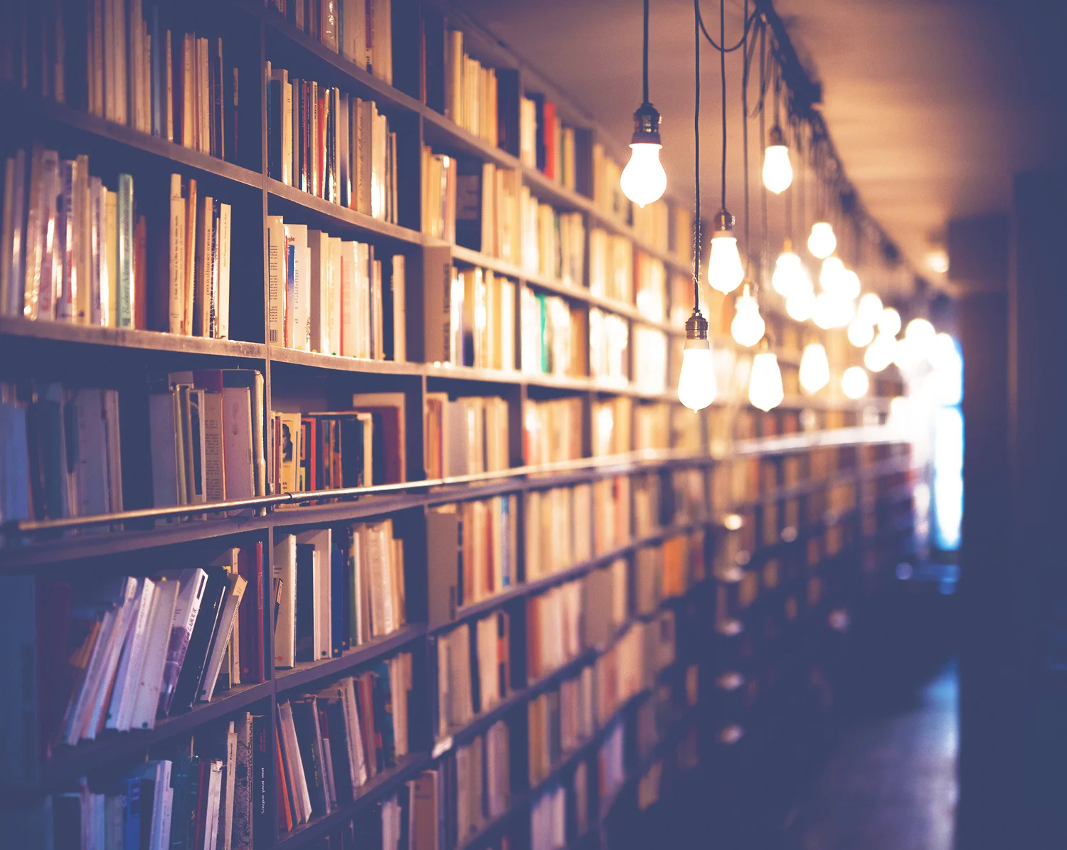The-library.jpg
