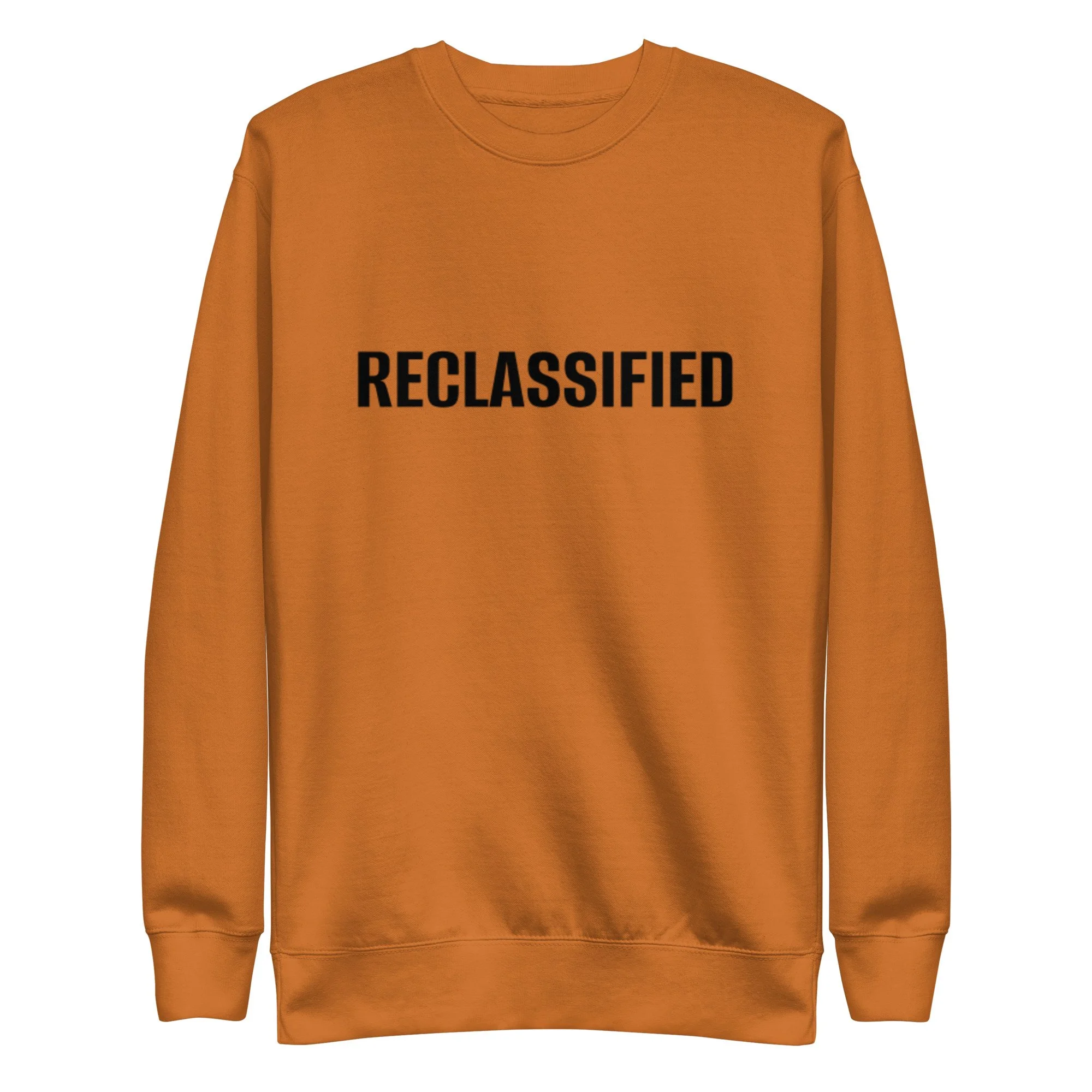 unisex-premium-sweatshirt-adobe-front-6aa5e4747c0f5.jpg