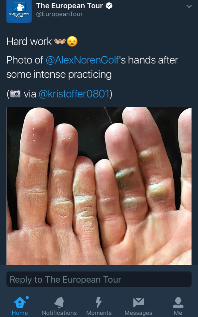 8ee0e07deadc9eda3a3f25c8f111505c.jpg
