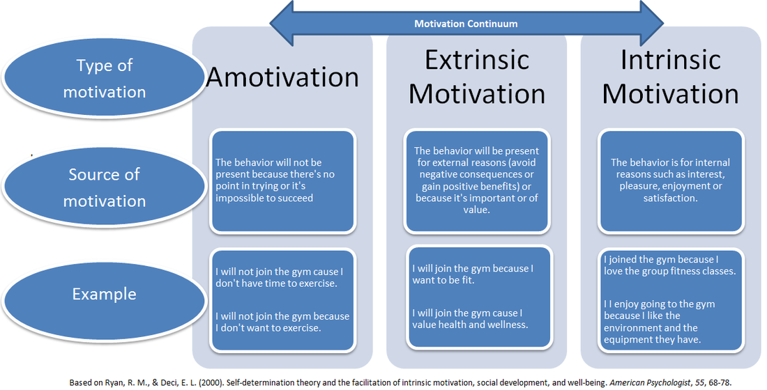 extrinsic vs intrinsic motivation child development