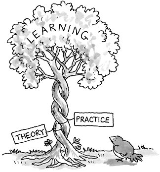 theory_practice_tree.jpg