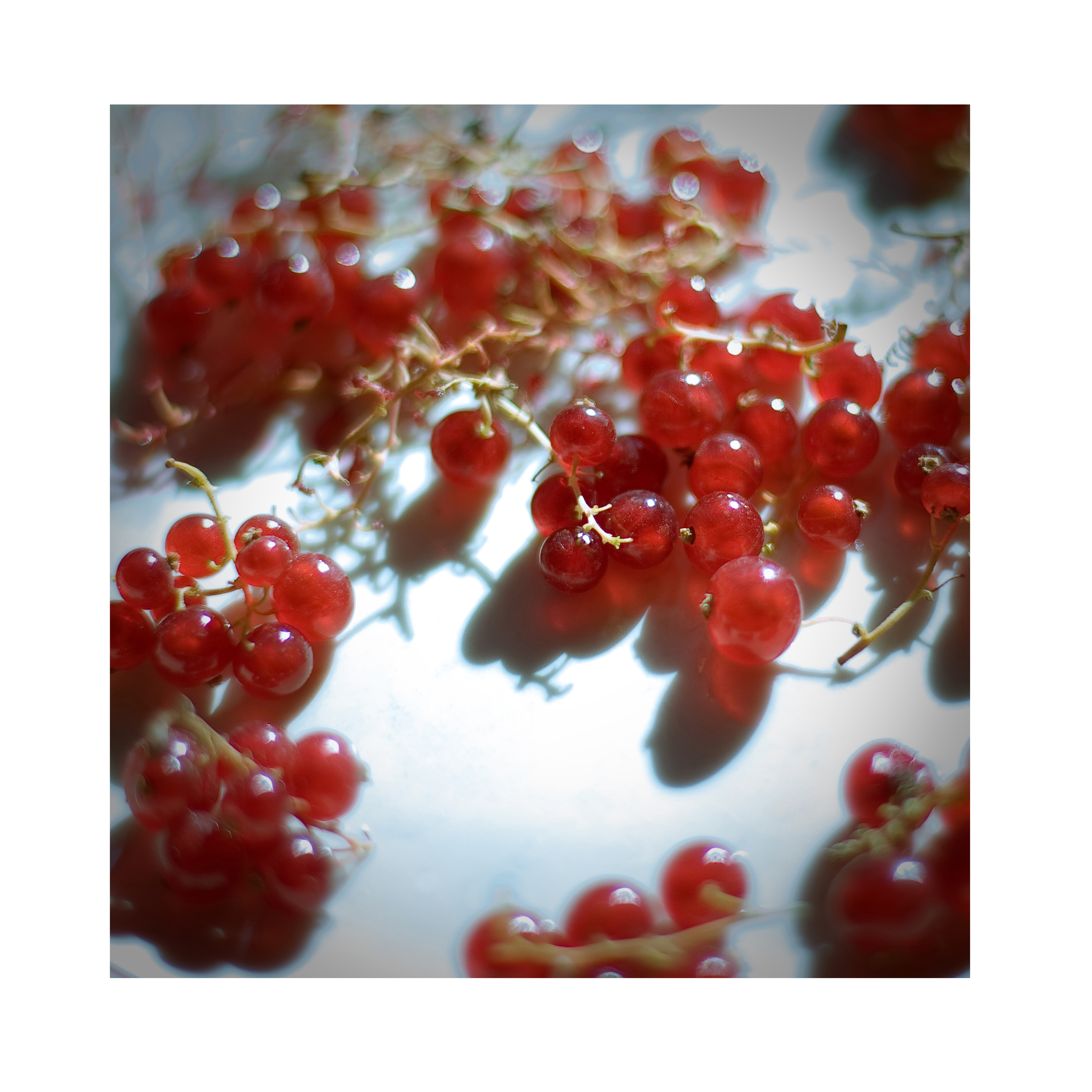 berries2.jpg