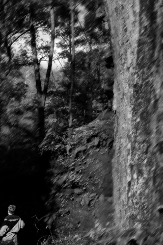 Walk in the Woods