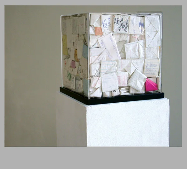   W/B     or     Current Research on the Small World Problem    2010, 10” x 10” x 10” display box, found and collected notes.&nbsp;     