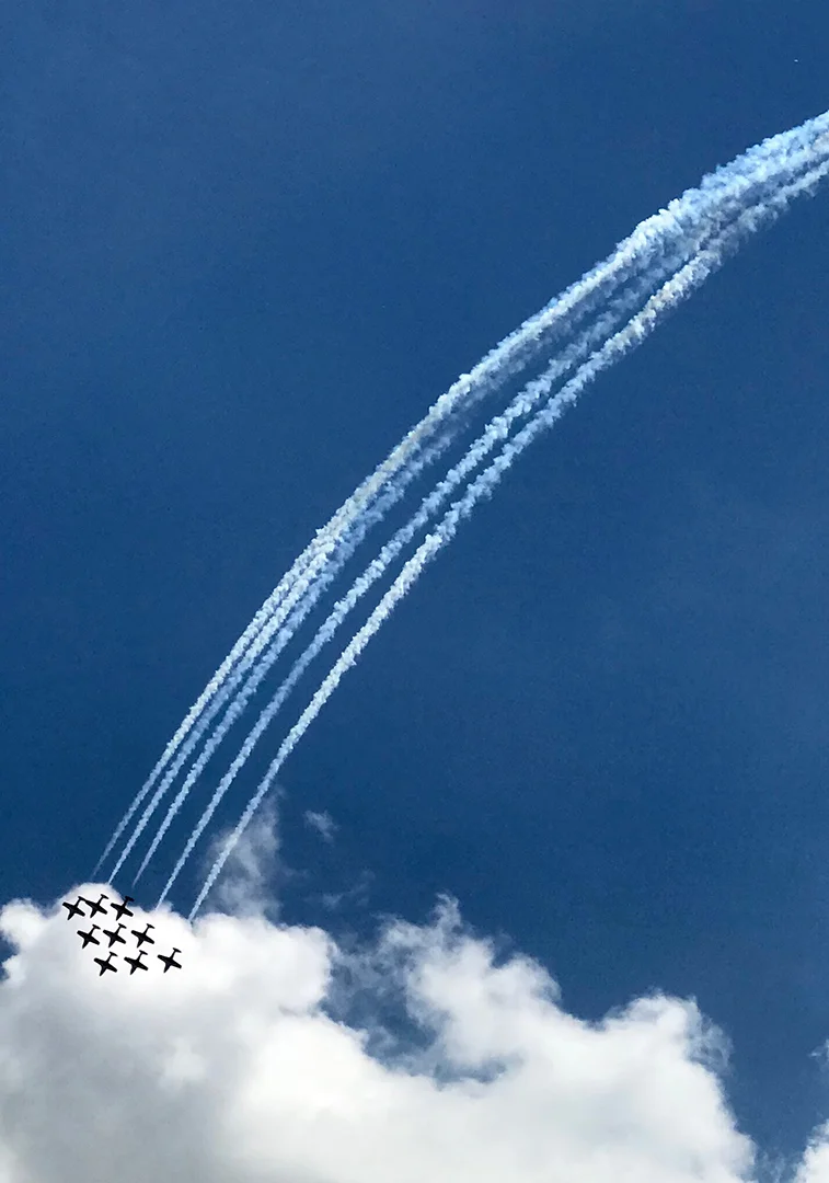 SnowbirdsLR.jpg