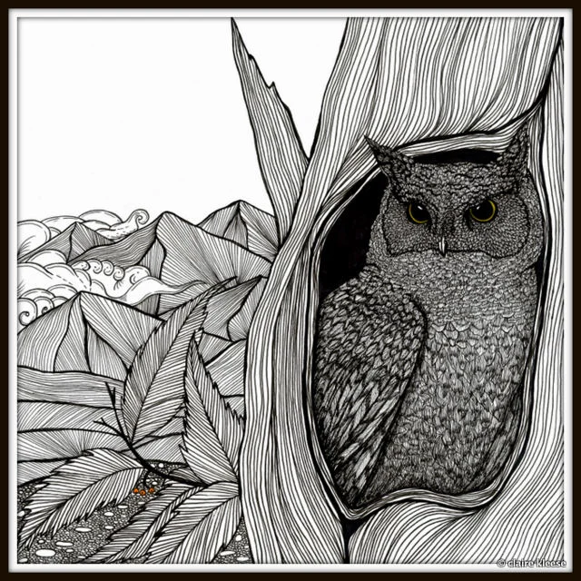 nīt oul -copyright. jpg.jpg