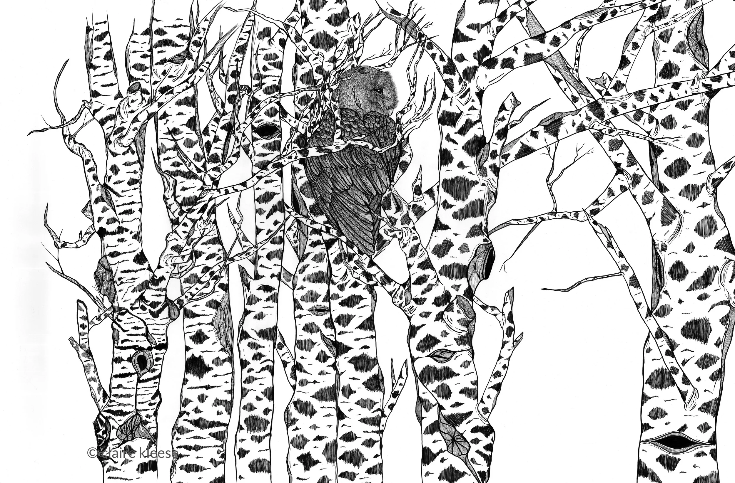 print version.unravel.1.webimage.jpg