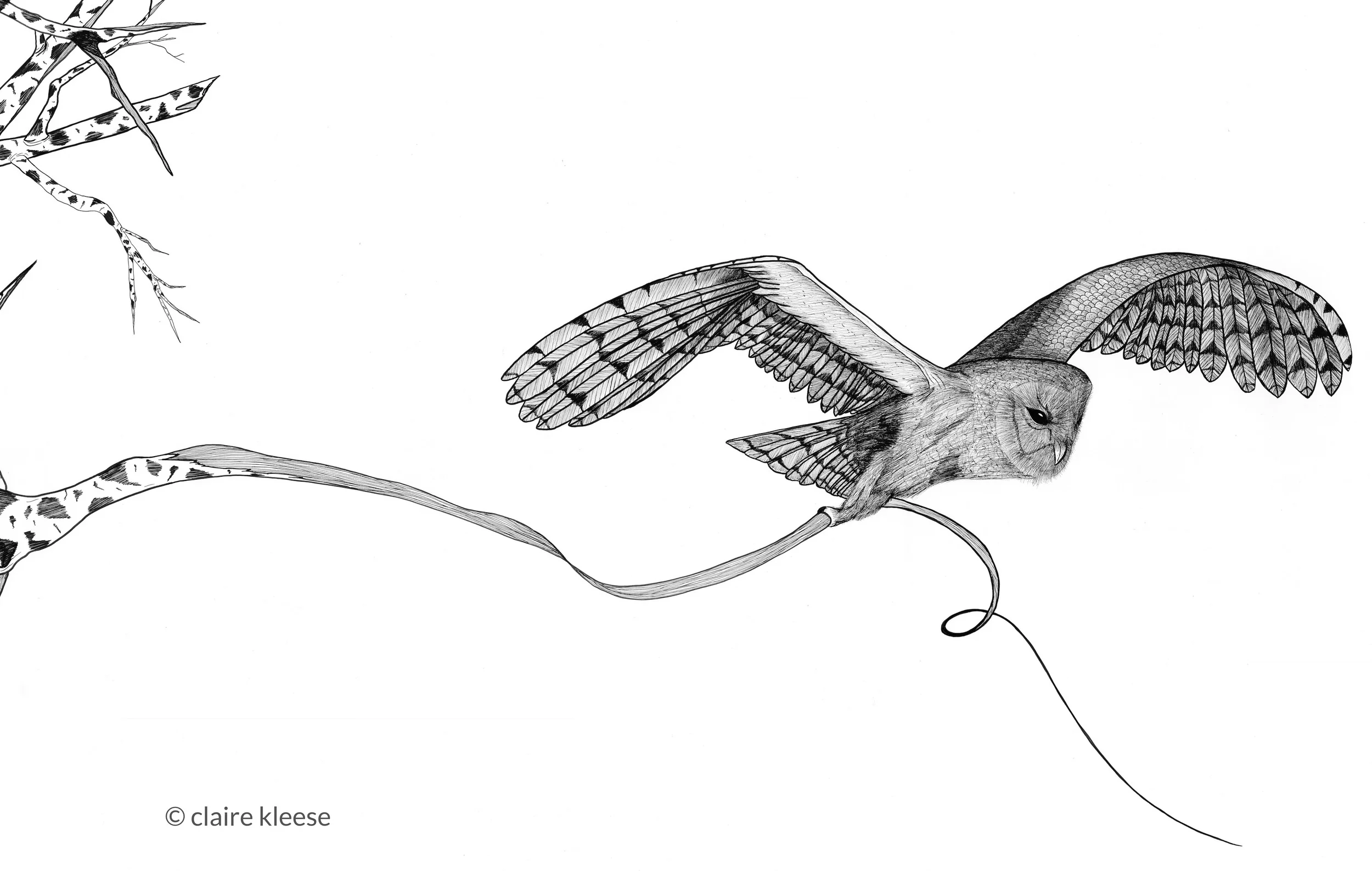 print version.unravel.2.webimage.jpg