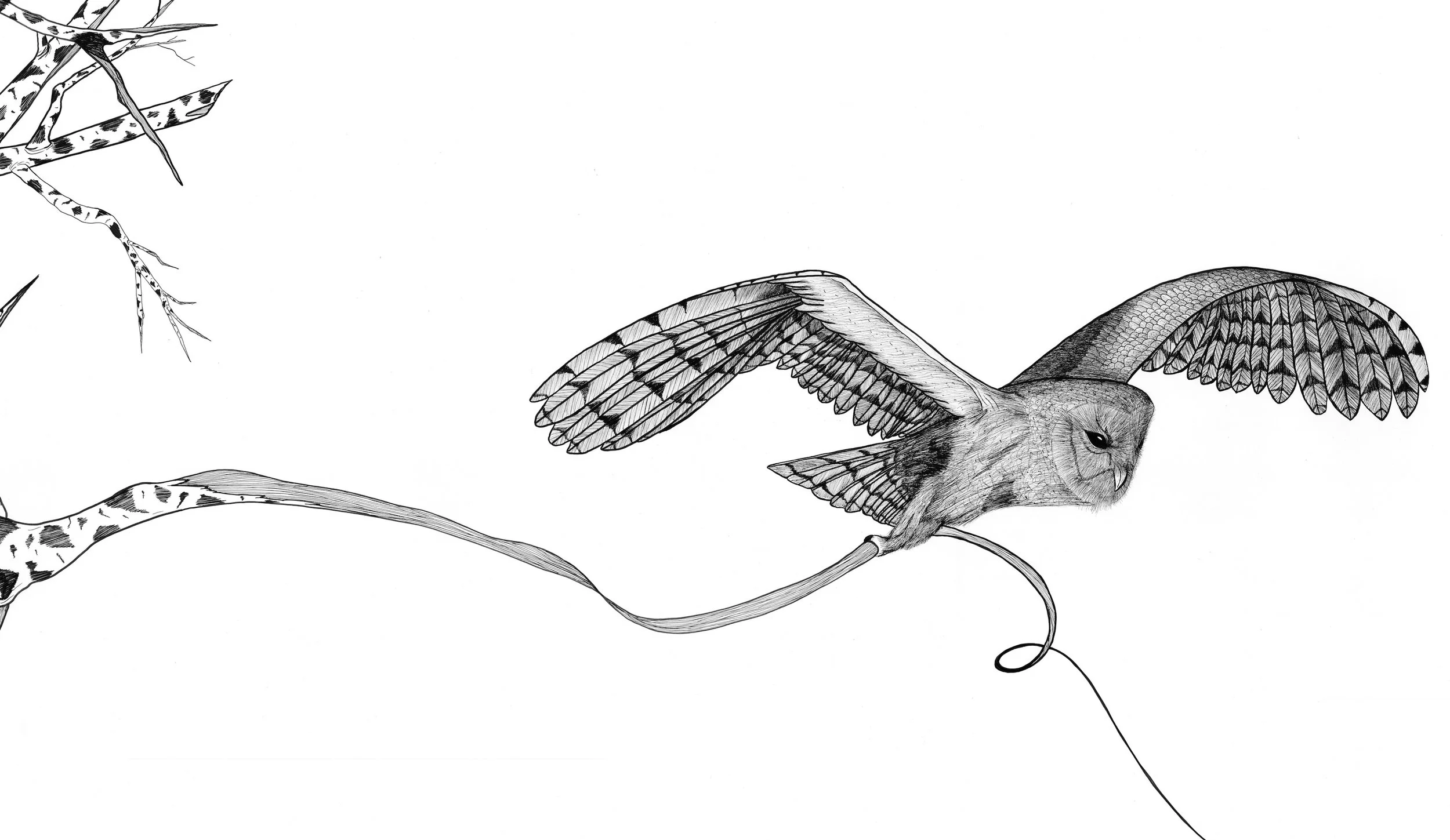 print version.unravel.2.webimage.jpg