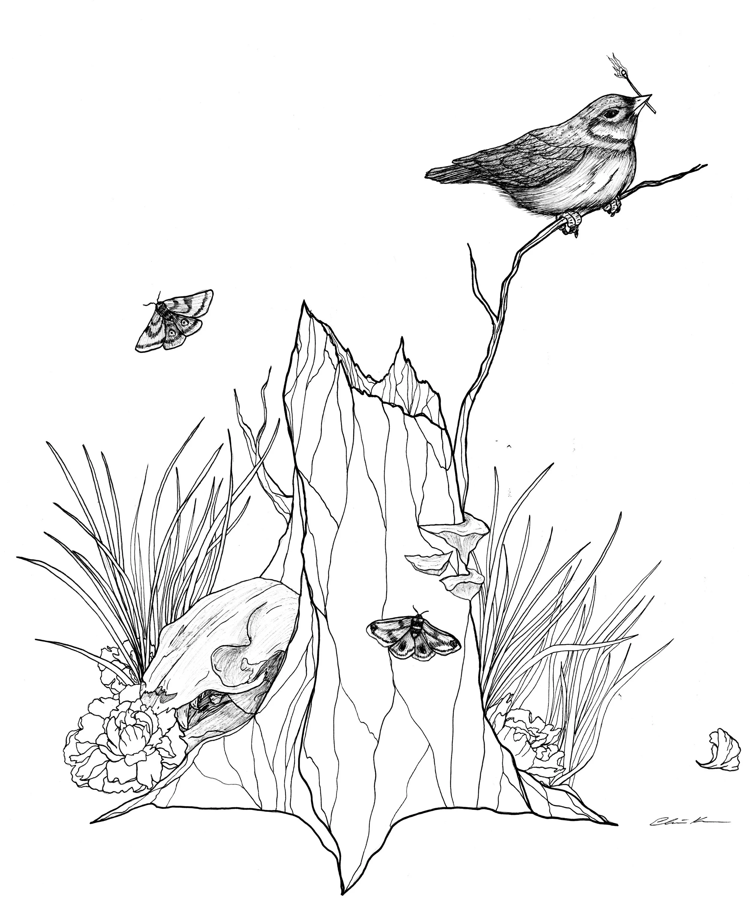 Altitude Gallery - bu.rn.jpeg