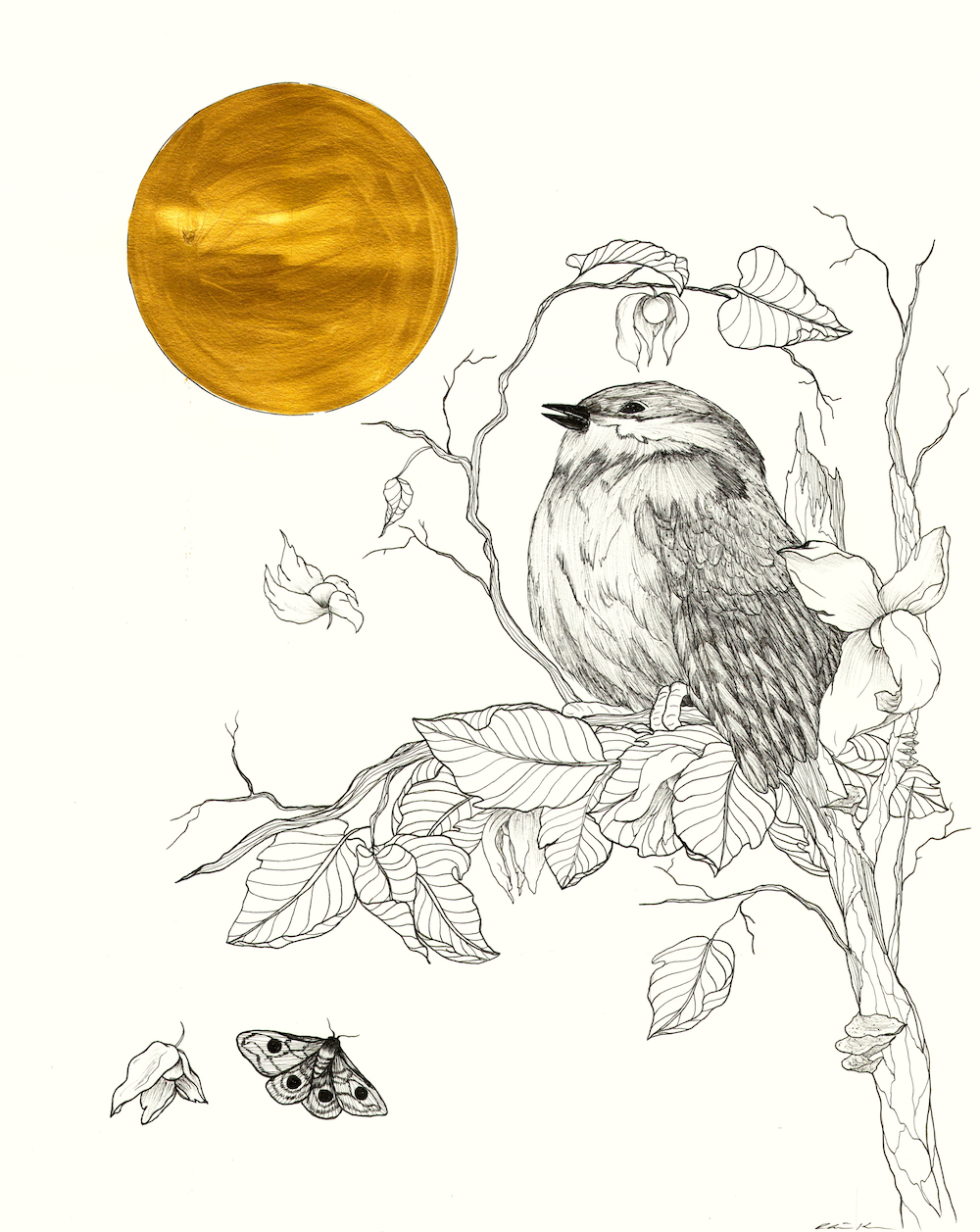 Altitude Gallery - gold.en.jpeg