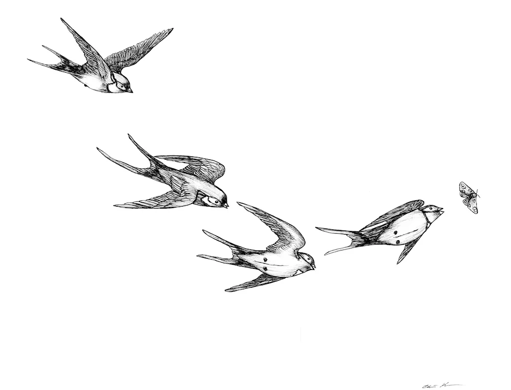 Altitude Gallery - hu.nt.jpeg