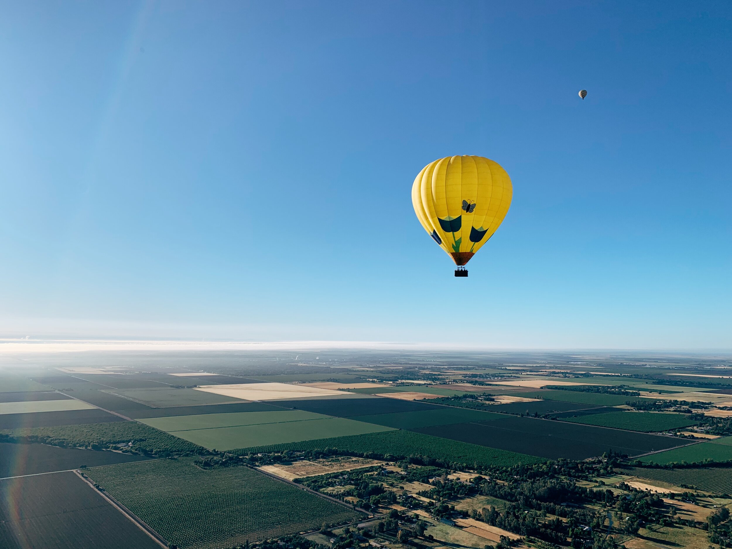 Up in the air