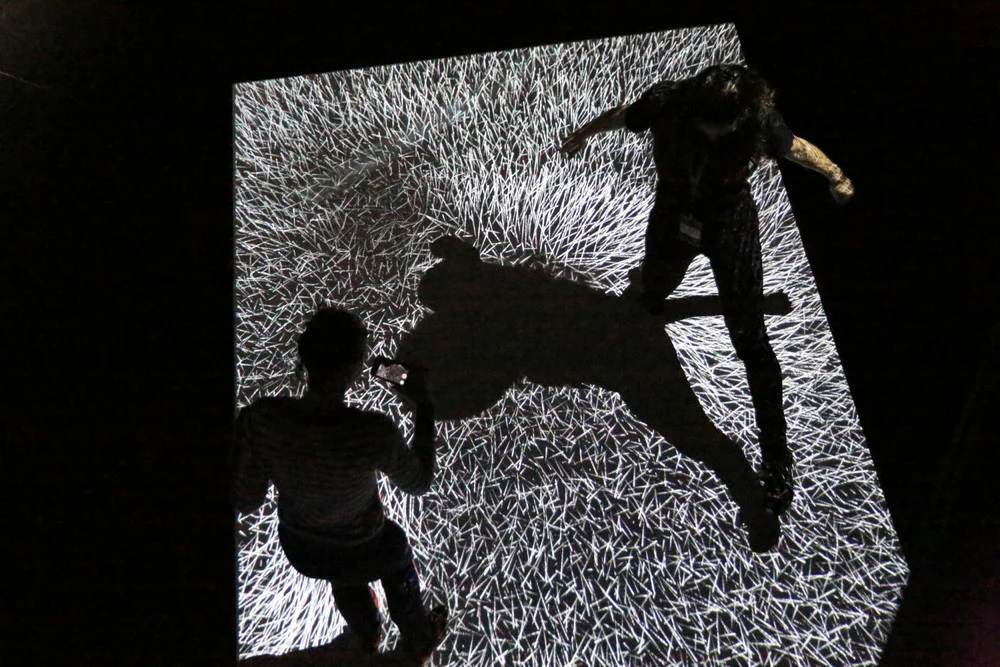  An interactive installation featured the Brooklyn Academy of Music (BAM) in Brooklyn, New York. 