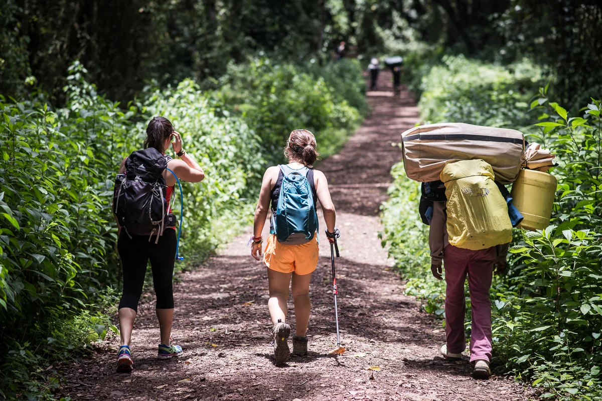 PHOTO CRED:&nbsp;NICOLA BAILEY