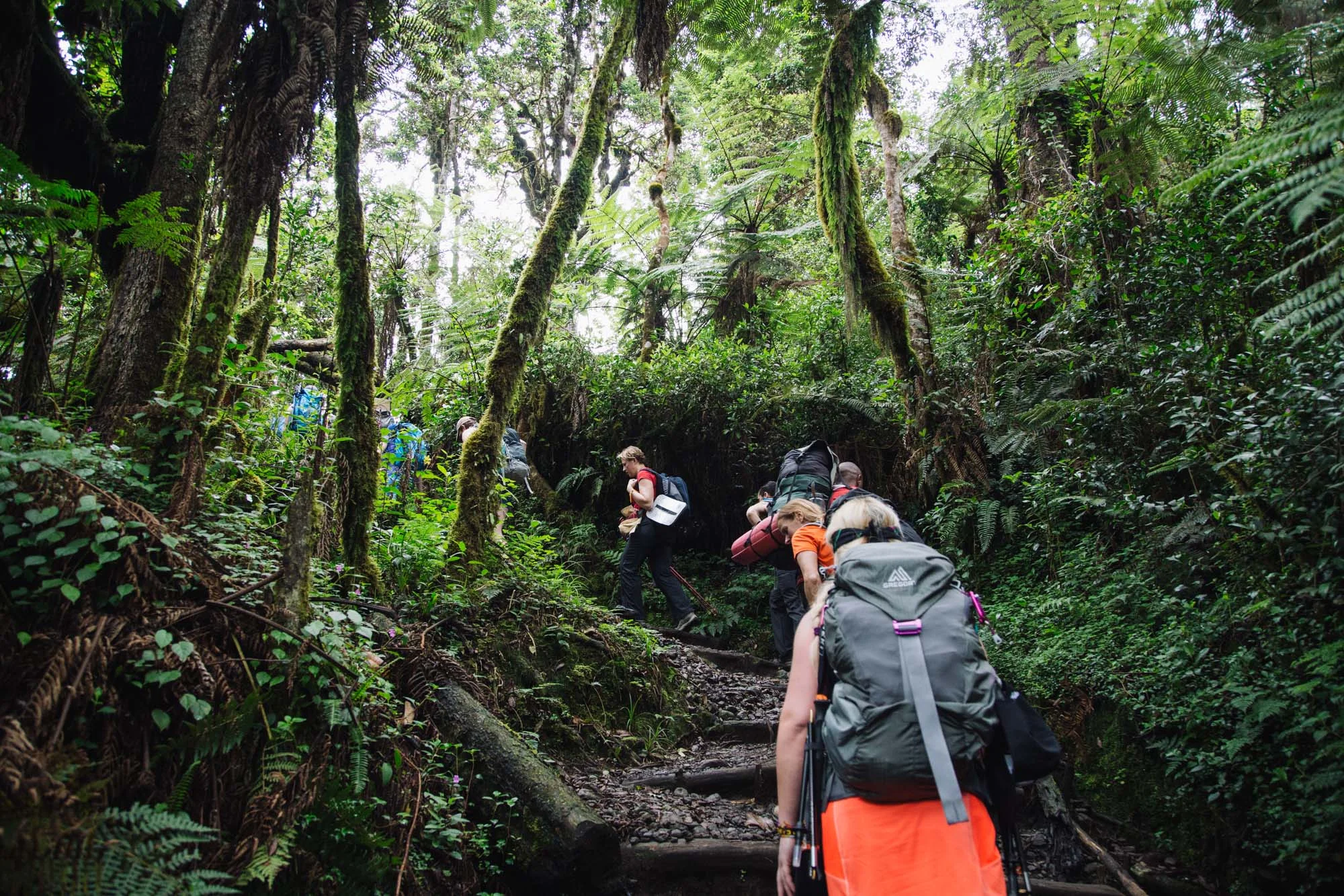 160303_Kili_128.jpg