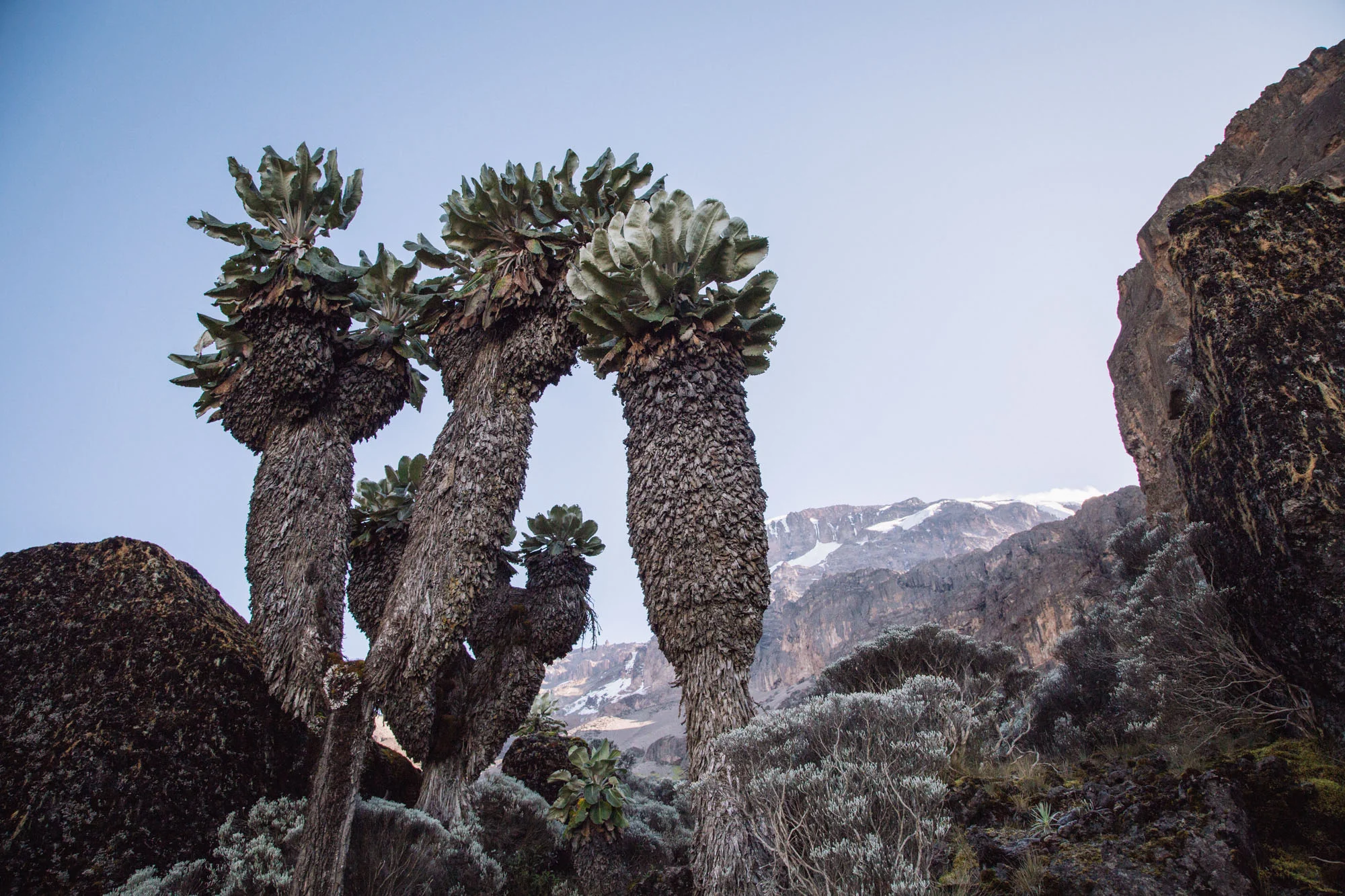 160306_Kili_1045.jpg