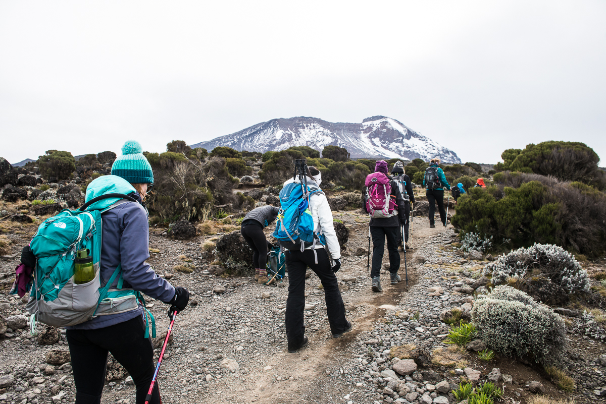 Kilimanjaro__0NB9568_Photo credit Nicola Bailey.jpg