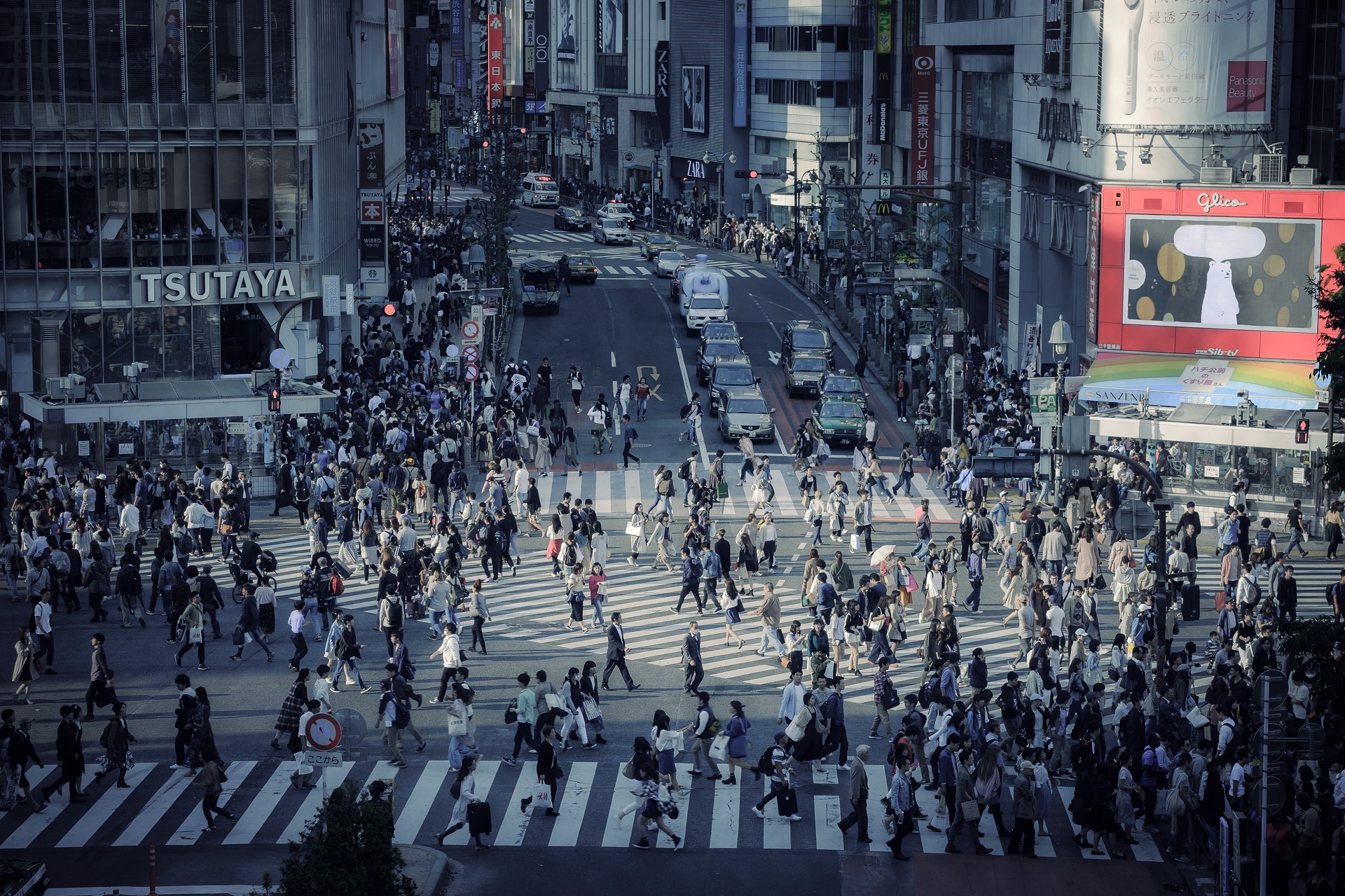 shibuya-2328029_1920.jpg