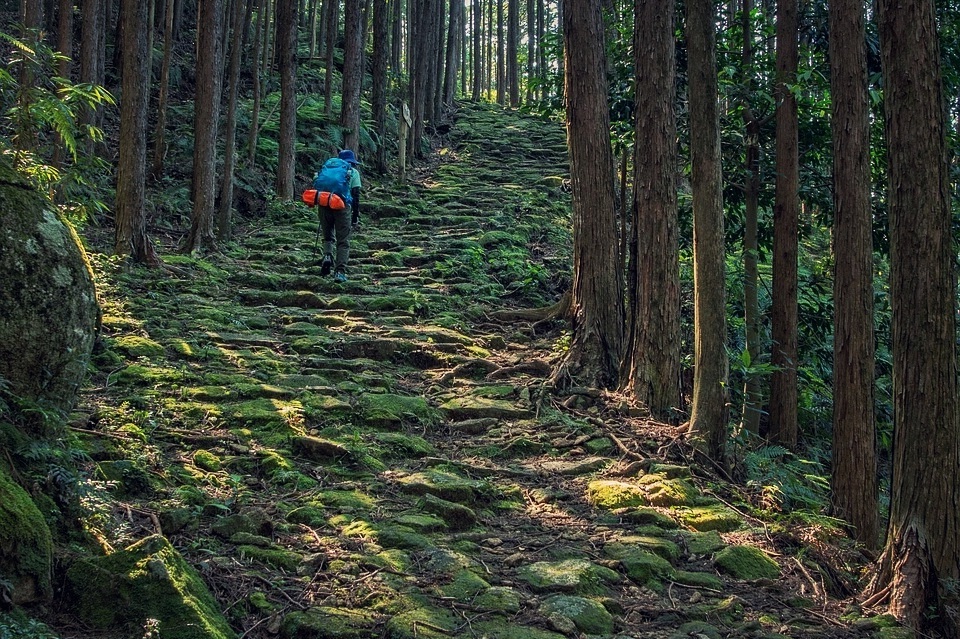 kumano-ancient-road-2389157_960_720.jpg