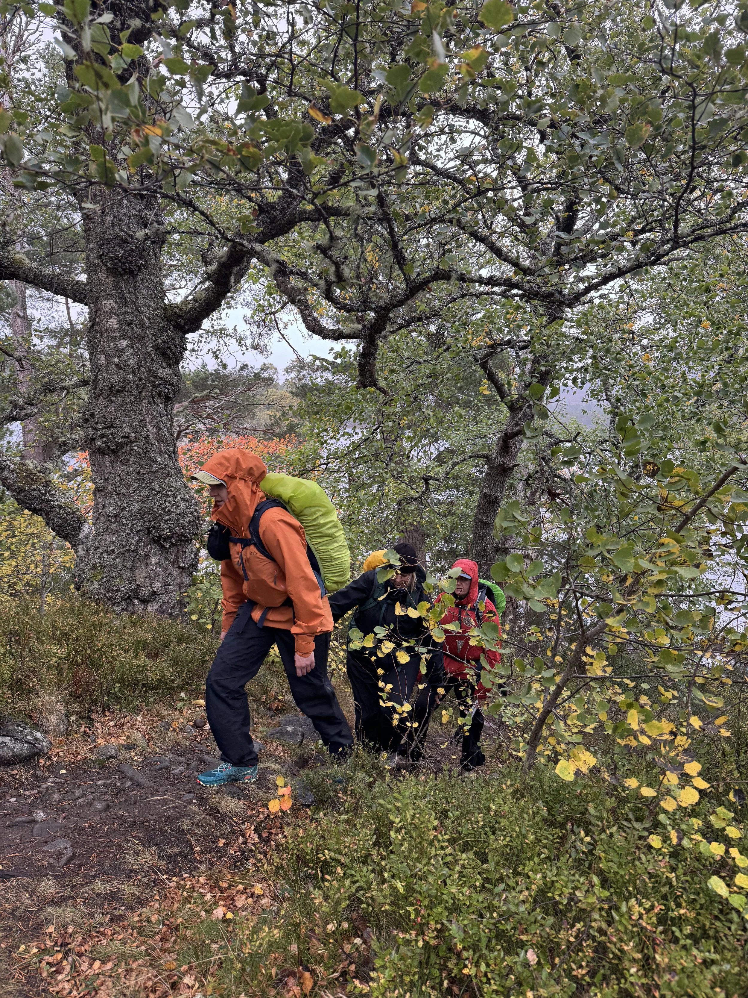 WHOA Scotland Hihglands Hiking Adventure37.jpeg