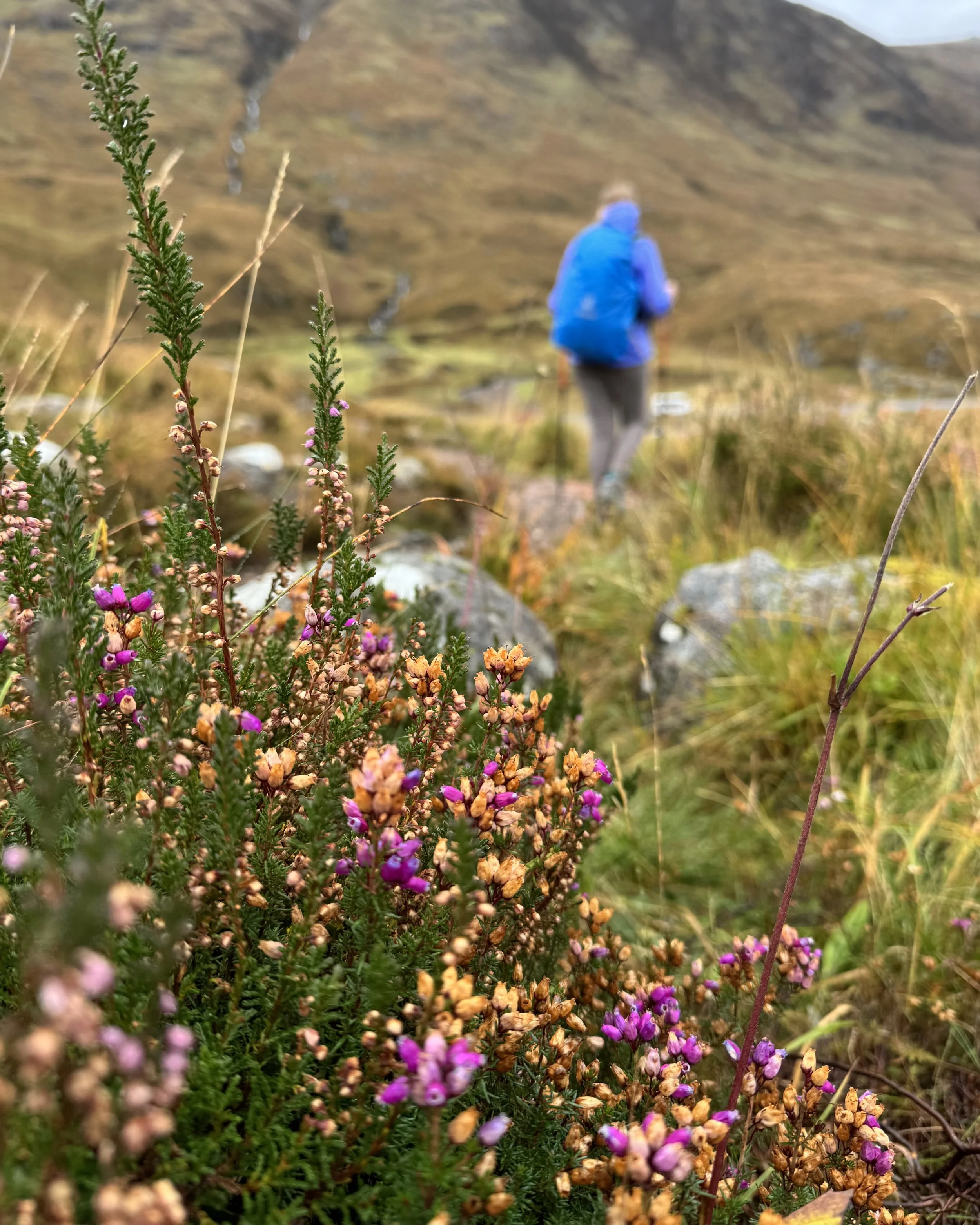 WHOA Scotland Hihglands Hiking Adventure112.jpeg