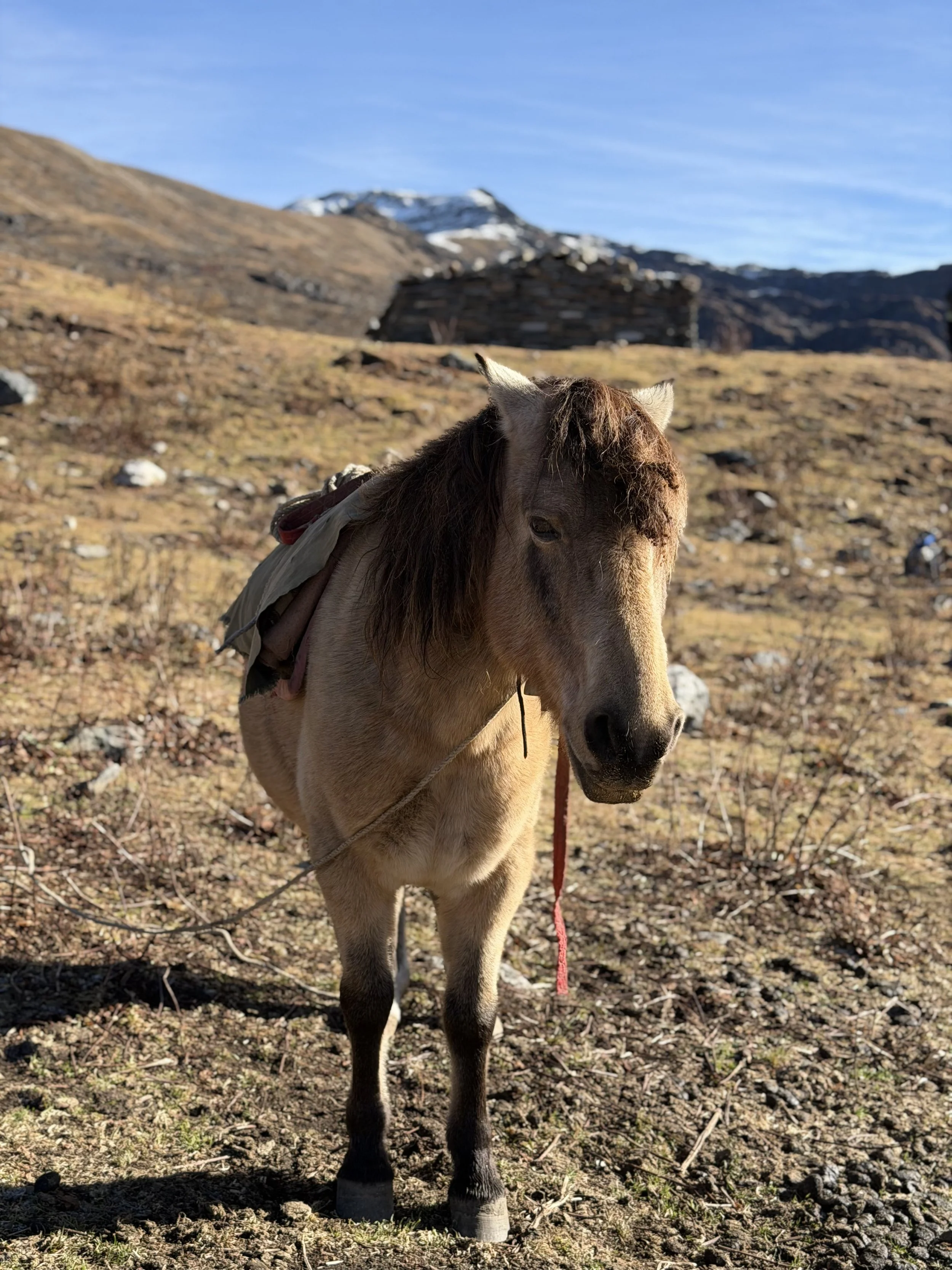 Bhutan Hiking Adventure WHOA travel630.jpeg