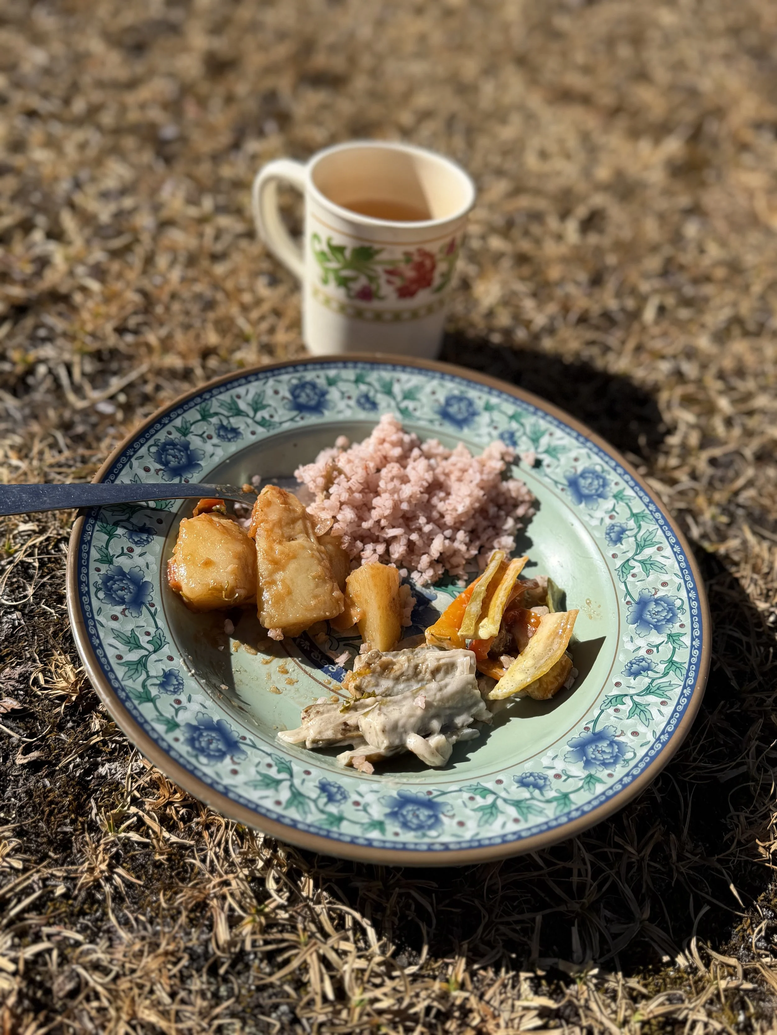 Bhutan Hiking Adventure WHOA travel736.jpeg