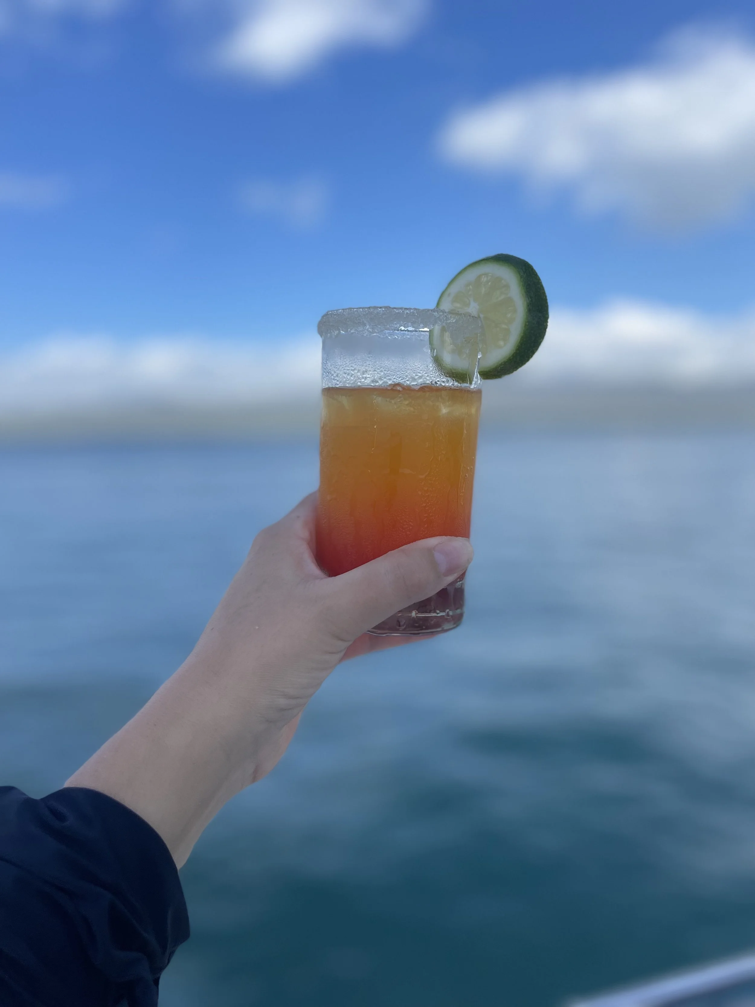 WHOA plus Galapagos2.jpeg