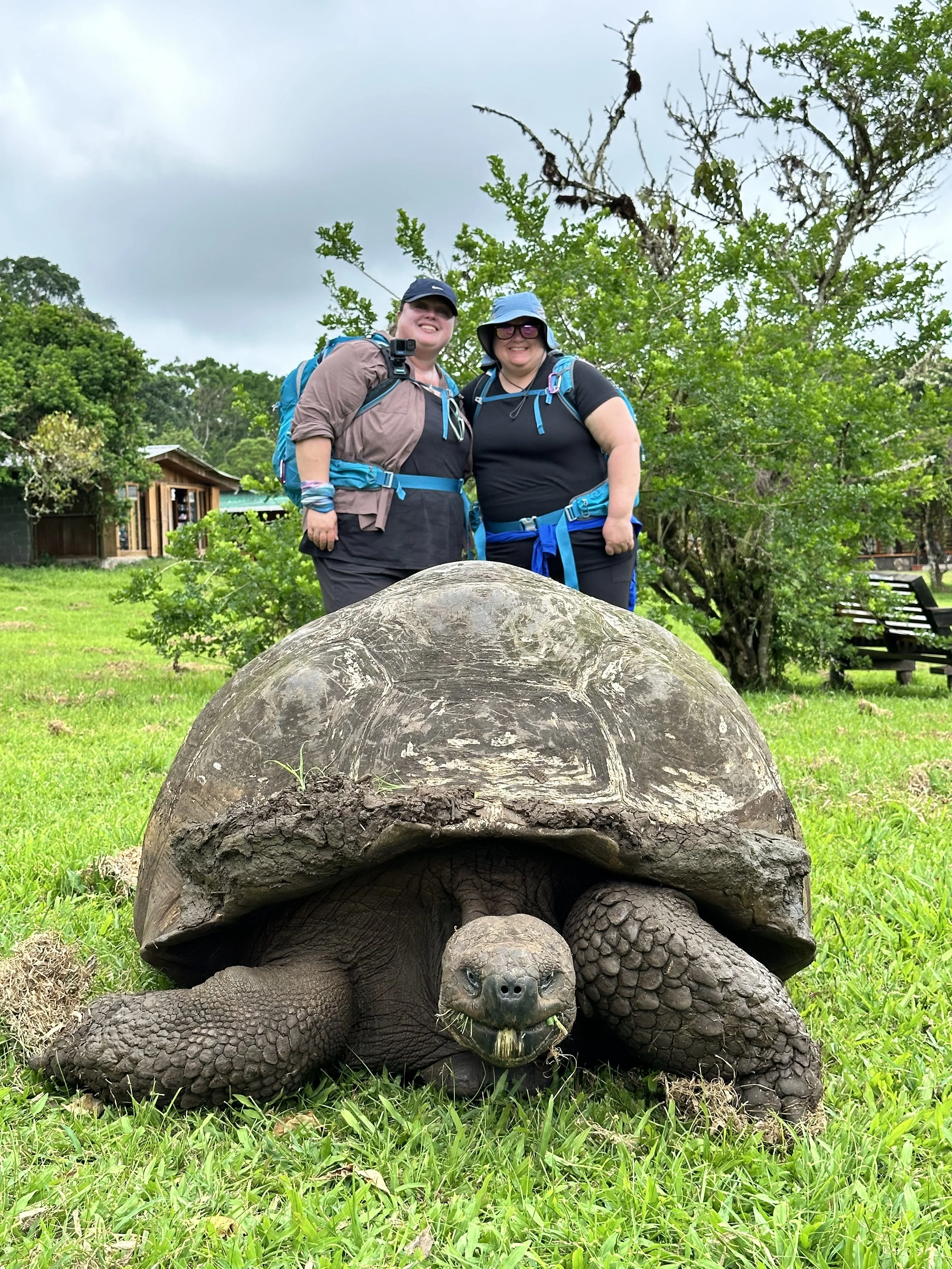 WHOA plus Galapagos19.jpeg