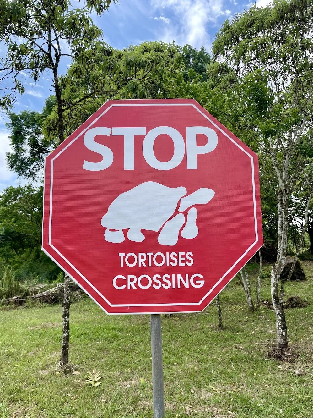 WHOA Galapagos Wildlife10.jpeg