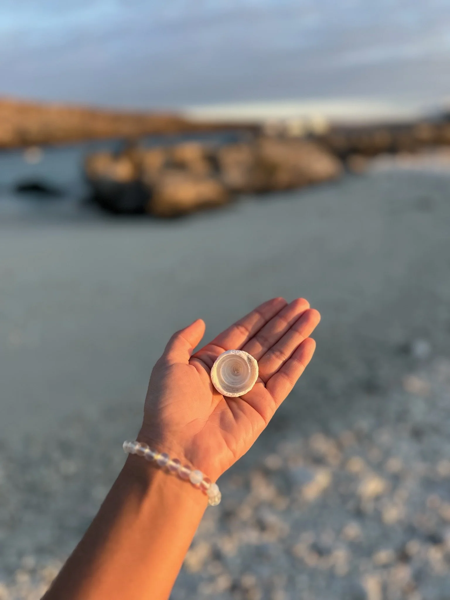 WHOA Galapagos Wildlife13.JPG