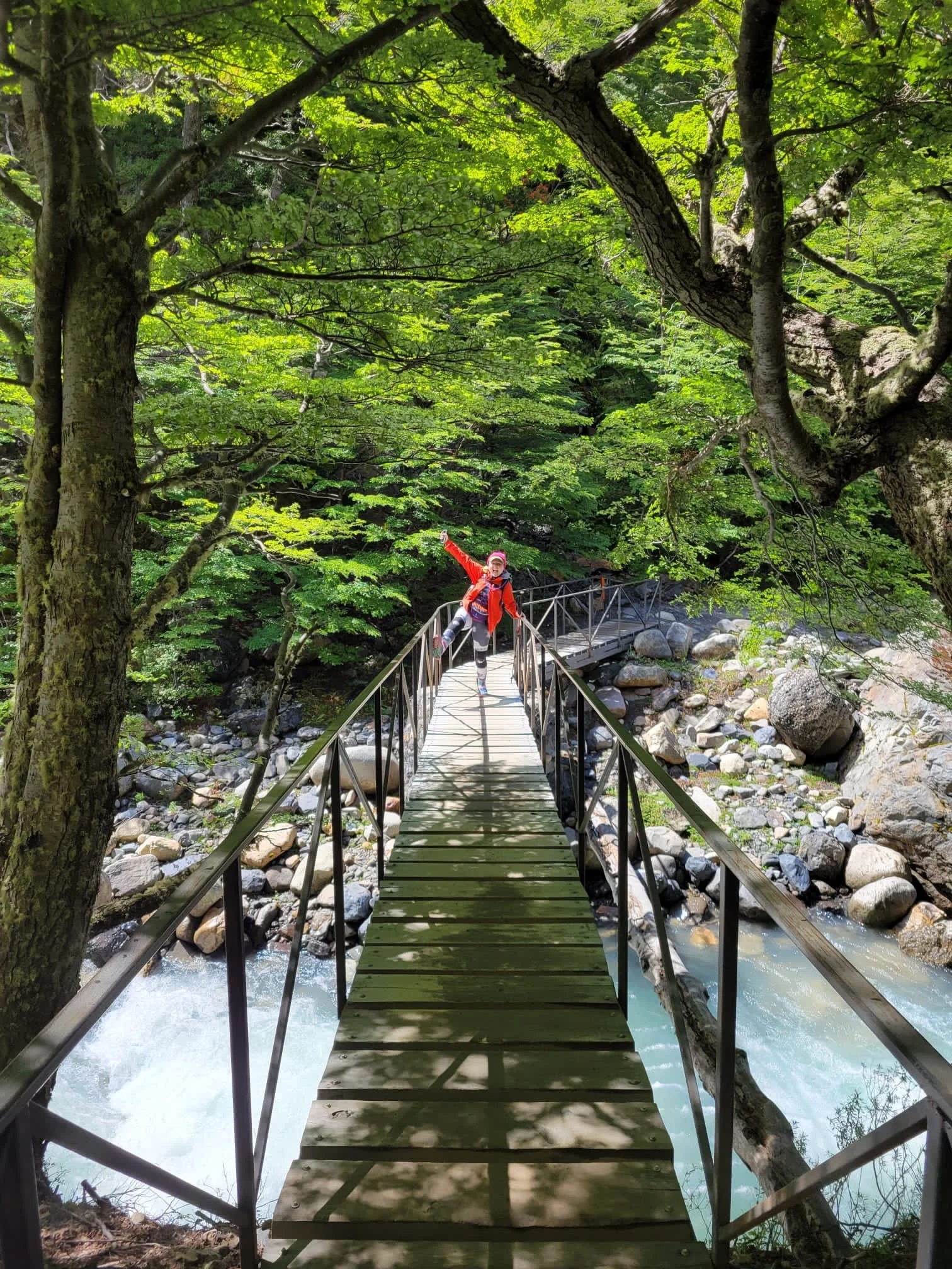 Patagonia WHOA travel3.jpeg