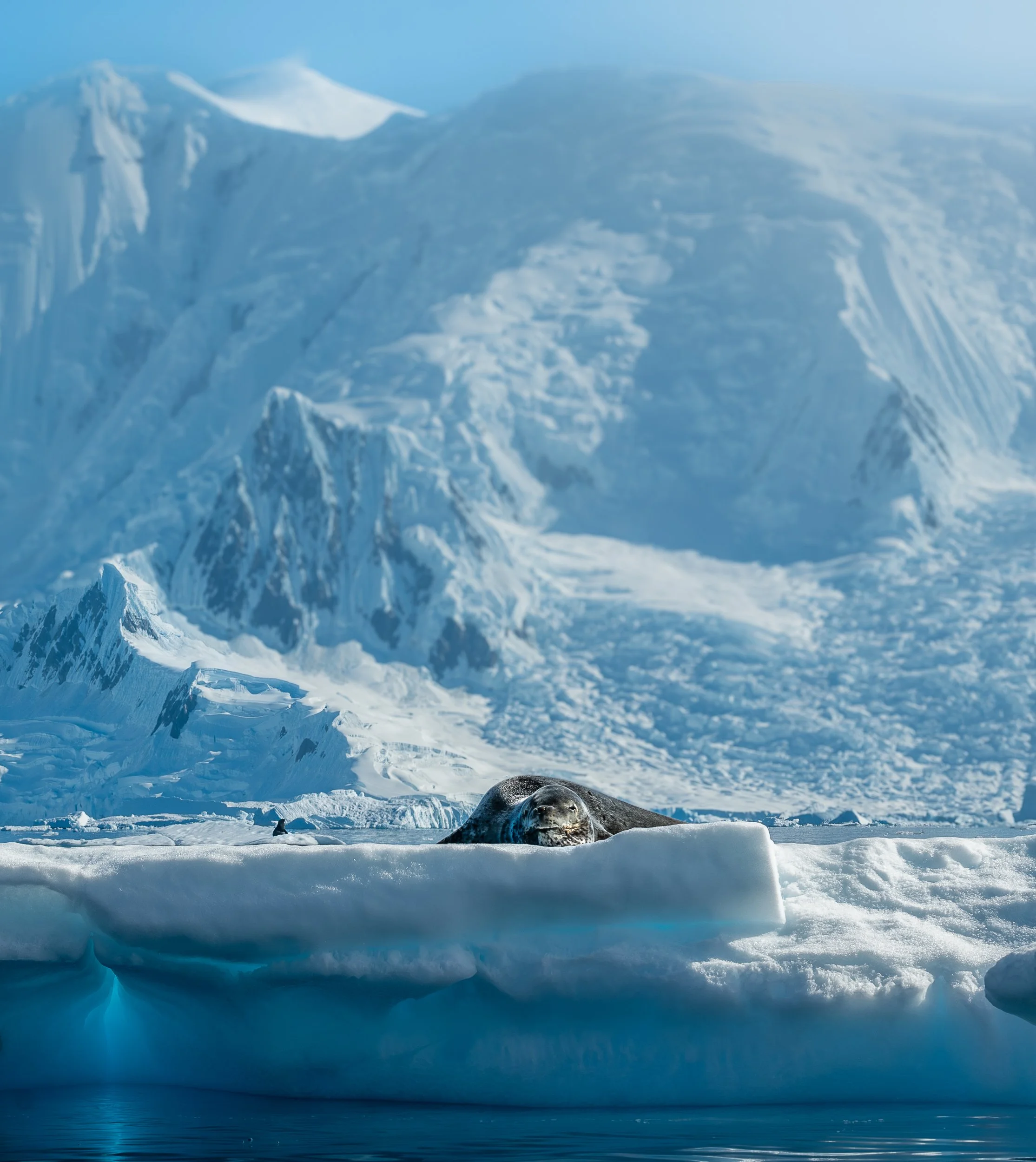 Antarctica WHOA travel Operation Adventure23.jpg